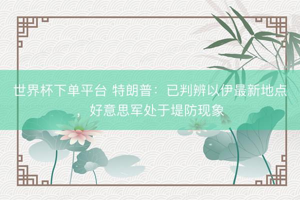 世界杯下單平臺 特朗普：已判辨以伊最新地點，好意思軍處于堤防現象