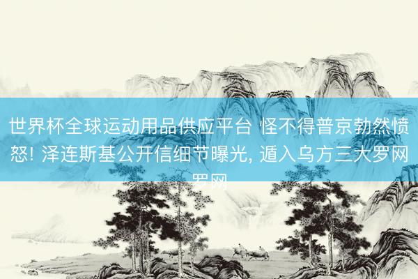 世界杯全球运动用品供应平台 怪不得普京勃然愤怒! 泽连斯基公开信